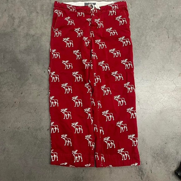 Abercrombie aop‎ moose baggy pants - Picture 1 of 8